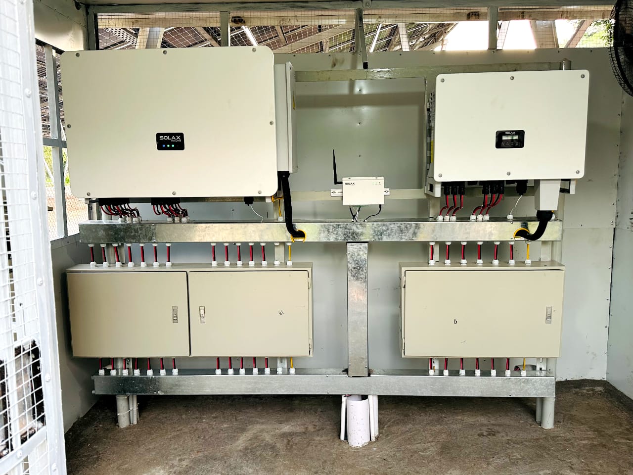 1748593076908604.jpg 4.jpg