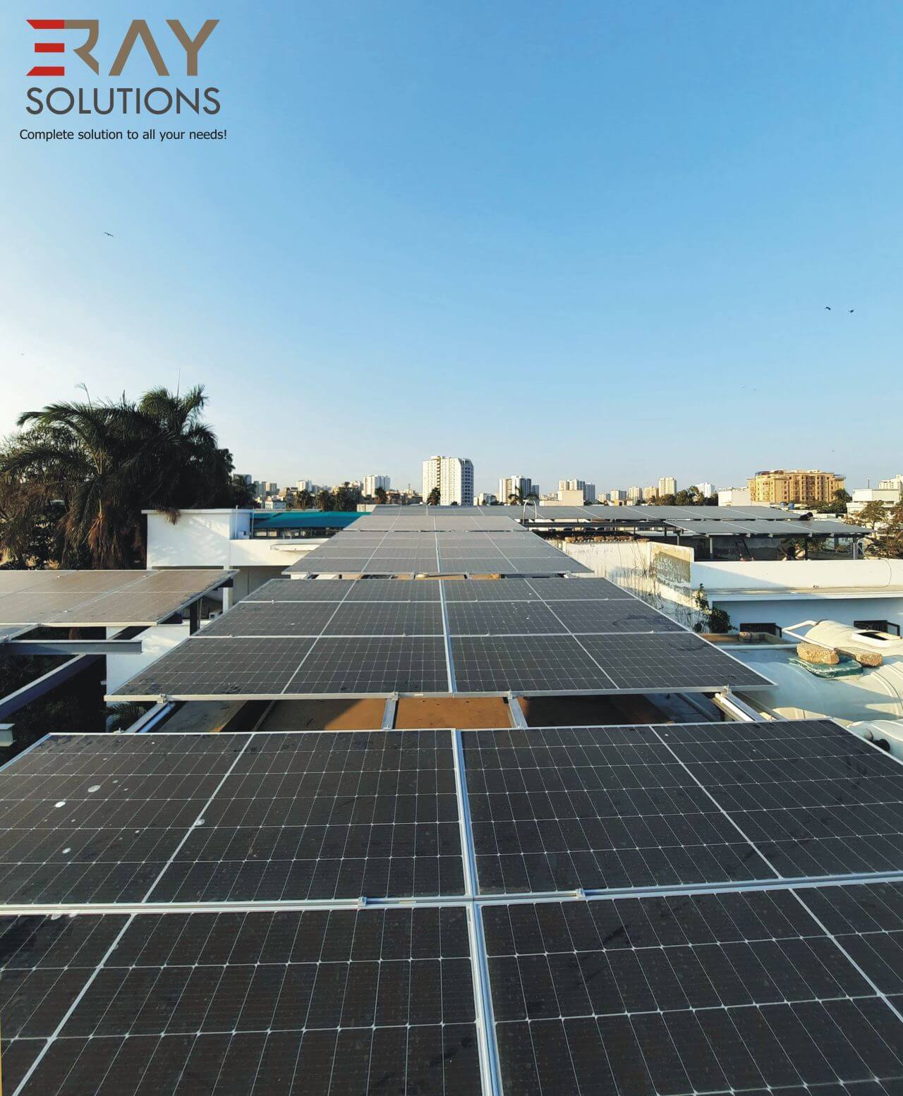 1748596541407606.jpg 1703568948172.jpg